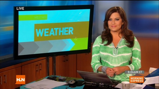 print a poster - Woman Green Blouse Television Monitor - HLNHDRM201107221.jpg