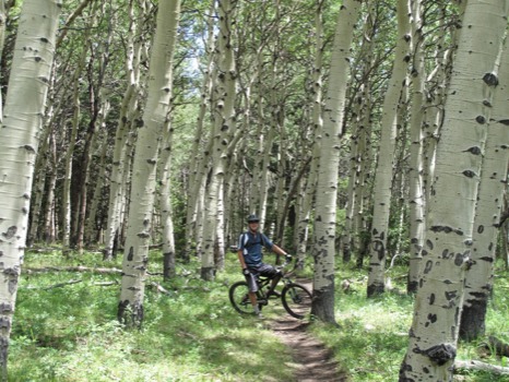 turn - Bicycle - IMG_1716.JPG.jpg