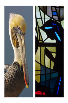 poster - Pelican Bird And Stained Glass Window - 3201_3202_V2.tif