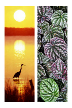 poster - Water Bird Sunset Leaves - 3203_3204_V2.tif