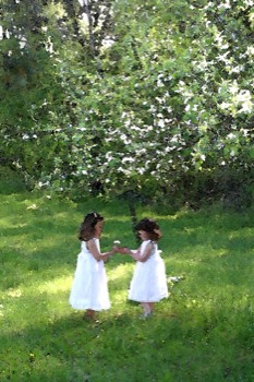 poster - Children White Dresses Grass - IMG7570c.jpg