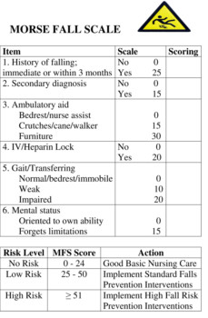 print a poster - Morse Fall Scale - Microsoft_Word___MORSE_FALL_SCALE_3.tif