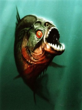 poster custom made - Fish Water Teeth Corful - 2.jpg