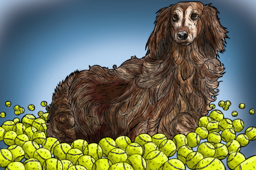 print a poster - Drawing Dog - Ellie.jpg