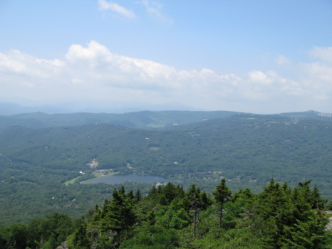 digital - Forest - View_Mountainposter.jpg