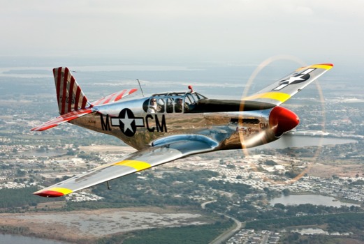 poster - Aeroplane - Chuckstang36x24c.jpg