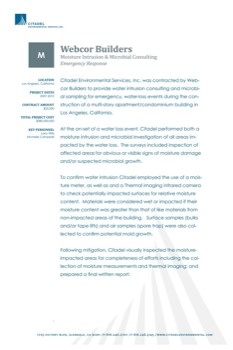 make pictures posters - Webcor Building - MPoster.jpg