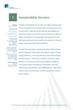 make pictures posters - Sustainability Services - SPoster.jpg