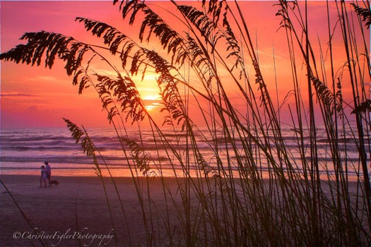 custom - Sunset - StAugustine.jpg