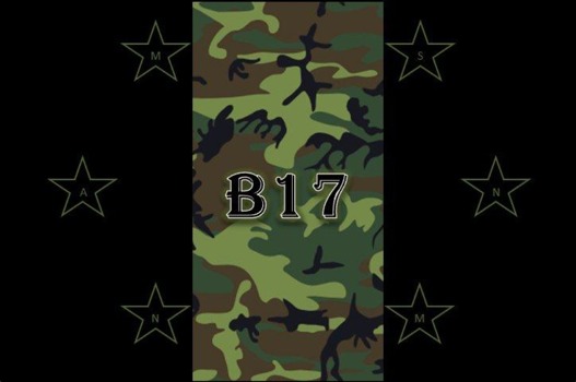 24 x 36 poster printing - b17 Camouflage Star Border - Untitled.jpg