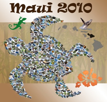 print a poster - Maui 2010 - Maui2010.jpg
