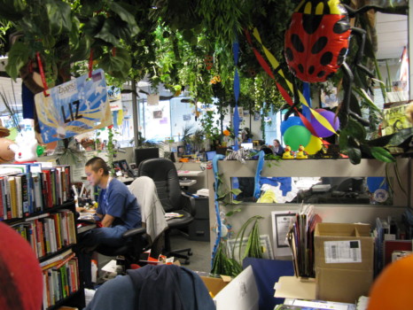print a poster - Bookshelves - Nov2009_832.jpg
