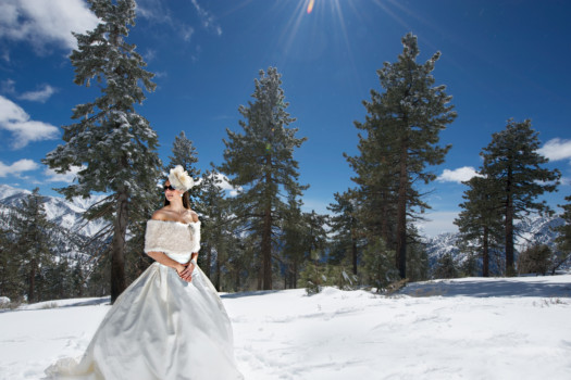 print a poster - Wedding Photo In Snow - DSC_5802.jpg