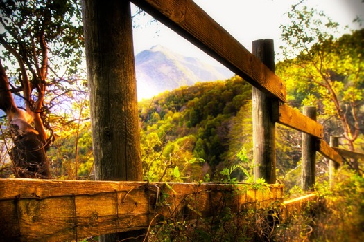 posterbrain - Wood Fence - Fence_MB_02.jpg