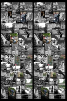 posterbrain -  - RiverCamTheFinalTIFFVersionfor.tif