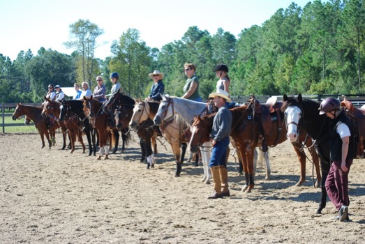 banners and posters custom - Horse - Copy_of_DSC_0804.jpg