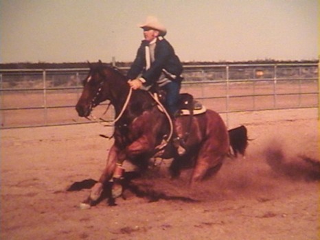 banners and posters custom - Horse - Copy_(2)_of_video_1_041.jpg
