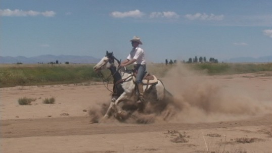 banners and posters custom - Running Horse In Dirt - DSC00361.JPG.jpg