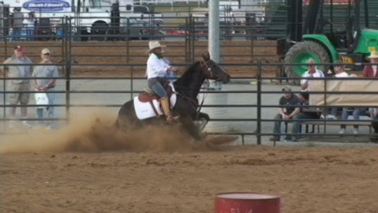 banners and posters custom - Horse In Dirt - DSC00380.JPG.jpg