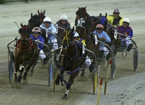 print a poster - Race - harnessracing.jpg