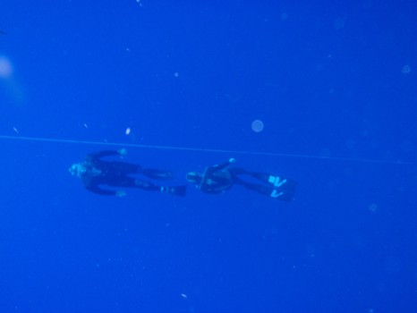 print a poster - Sea Diving - PB2900961.jpg