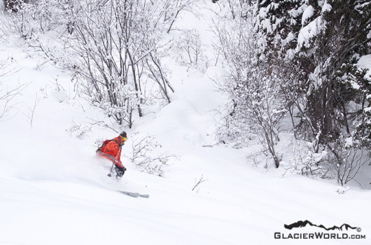 posters - Skiing - Zak_ski_deep.jpg