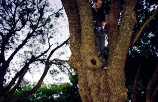 print a poster - Man In Tree - 6821_133811662179_690047179_2428446_6306.jpg