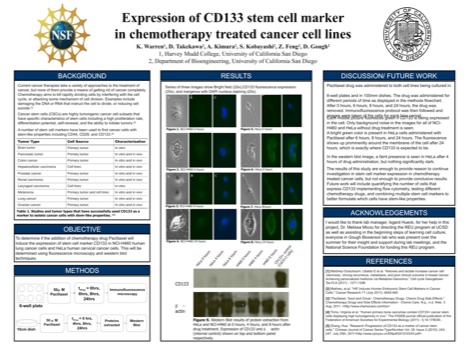 research -  - FinalPosterv4.ppt