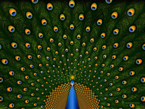 print a poster - Peacock - peacock_green_feather_bird_1.jpg