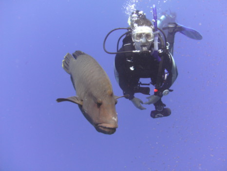 poster - Scuba Diver - PICT1049.jpg