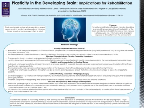poster - Lsu Plasticity In The Brain - Begnaud_LOTA_poster.pdf