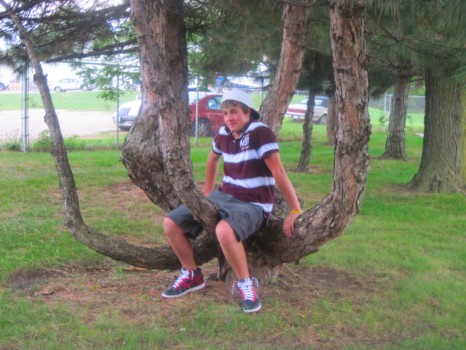 print a poster - Boy Sitting In Tree - Img_0674.jpg