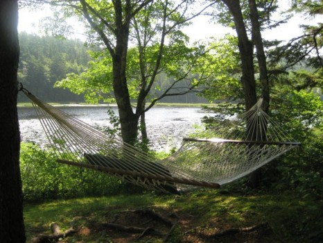 print a poster - Lakeside Hammock Trees - 35263_1360474489002_1145730994_30892477_.jpg