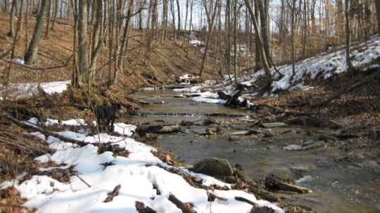 poster printing - Landscape Creek - IMG_0326.jpg