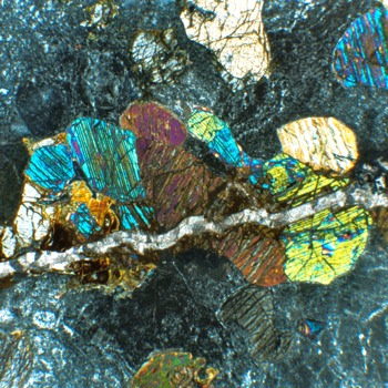 posterbrain -  - prettycoolthinsection.tif