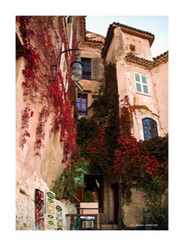 print a poster - Building - EzeMonacoCastleCafe18x24w3ibrd.jpg