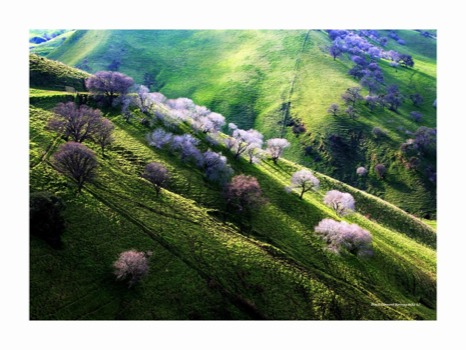 print a poster - Meadow - BlackDiamondhike18x24w3inbrdr5.jpg