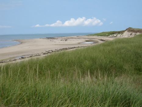 print a poster - Beach - IMG0957JPG.jpg