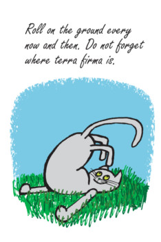 create - Cartoon Cat & Writing - 55Terrafirma.jpg