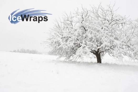 custom - Ice Wraps - sign1.jpg