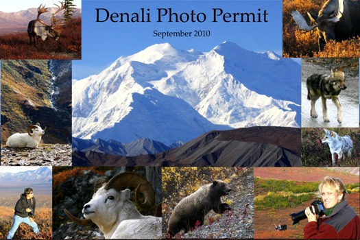 POSTER - Denali Photo Permit - denali_poster_9_IMG_1842.JPG.jpg