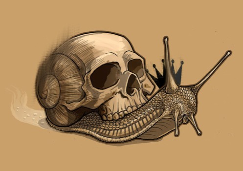 poster - Drawing - SkullSnail.jpg