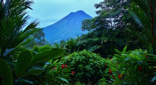 print a poster - Green Plants Mountain Red Flowers - VolcanoJPG.jpg