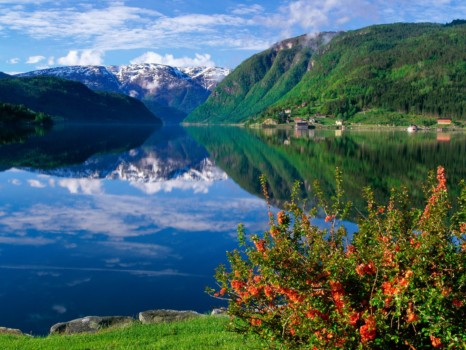 posterbrain - Landscape - Ulvik_Hardangerfjord__Norway_2.jpg