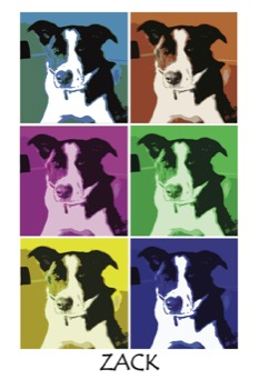 standard - Zack Dog Colors Poster - ZackPosterzackposter.pdf