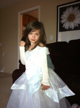 make - Princess Dressup Clothes - CinderellaDressJPG.jpg