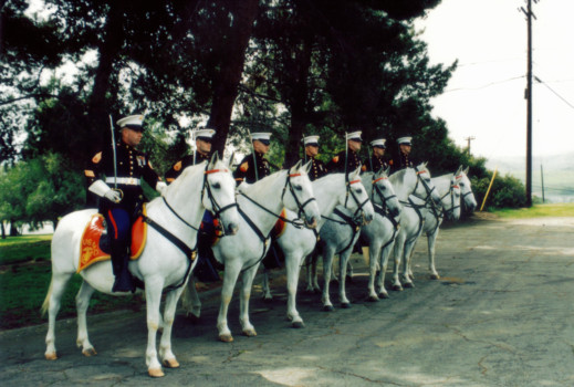 photo to poster - Military Uniforms - Old_MC_Color_Guard_035_0001.jpg