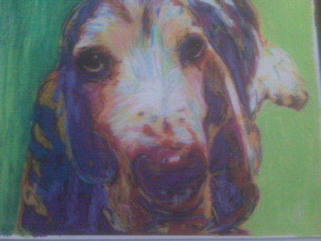 custom - Dog - _Media_Card_BlackBerry_pictures_IMG01358.jpg