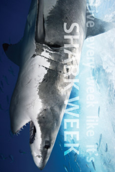 print - Shark Week - shark_week_poster.jpg