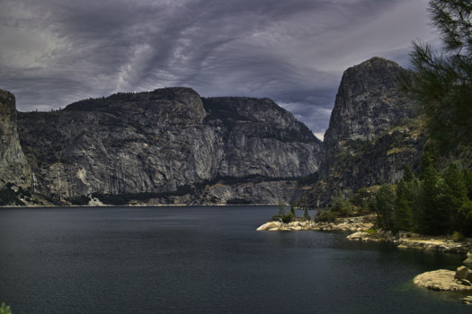 poster brain -  - hetchy.jpg
